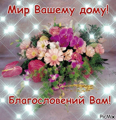 Мира и добра вашему дому