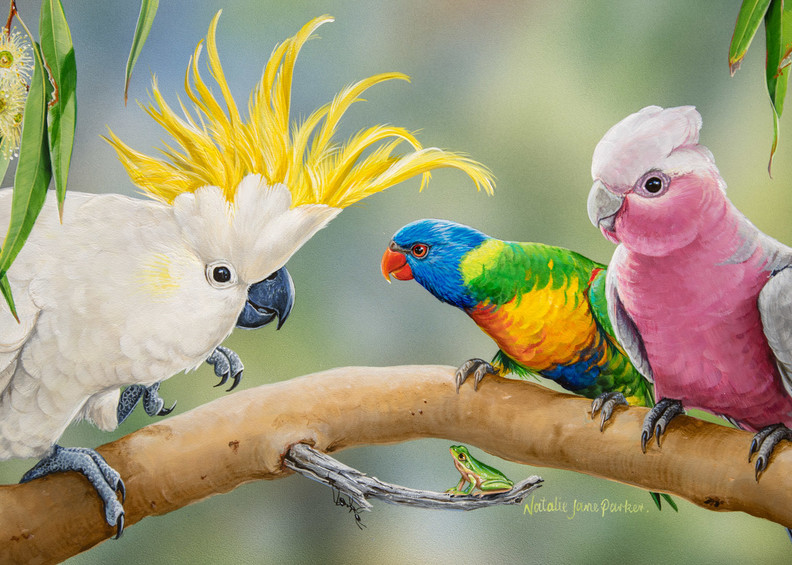 Красивые картинки на Всемирный день попугая 2022 год (7)