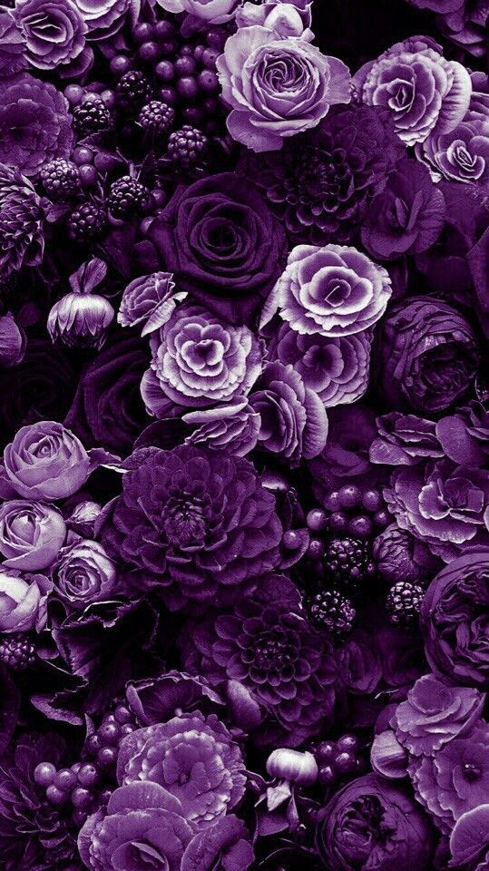 Картинки на телефон фиолетовые цветы за 2022 год (6)