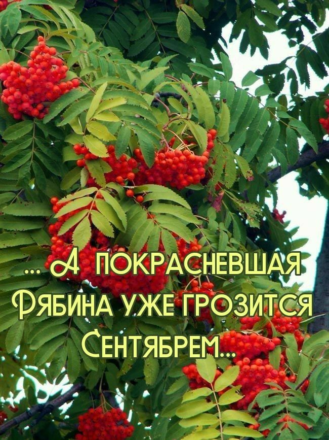 Прощай лето 2022 картинки и открытки - подборка (2)