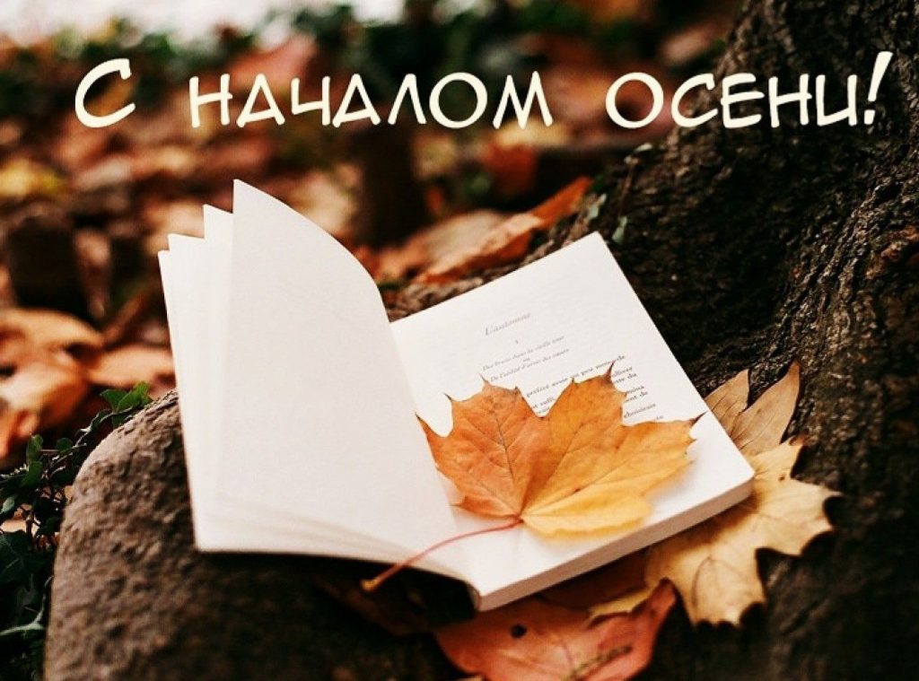 Привет осень, красивые и прикольные открытки с надписями (23)