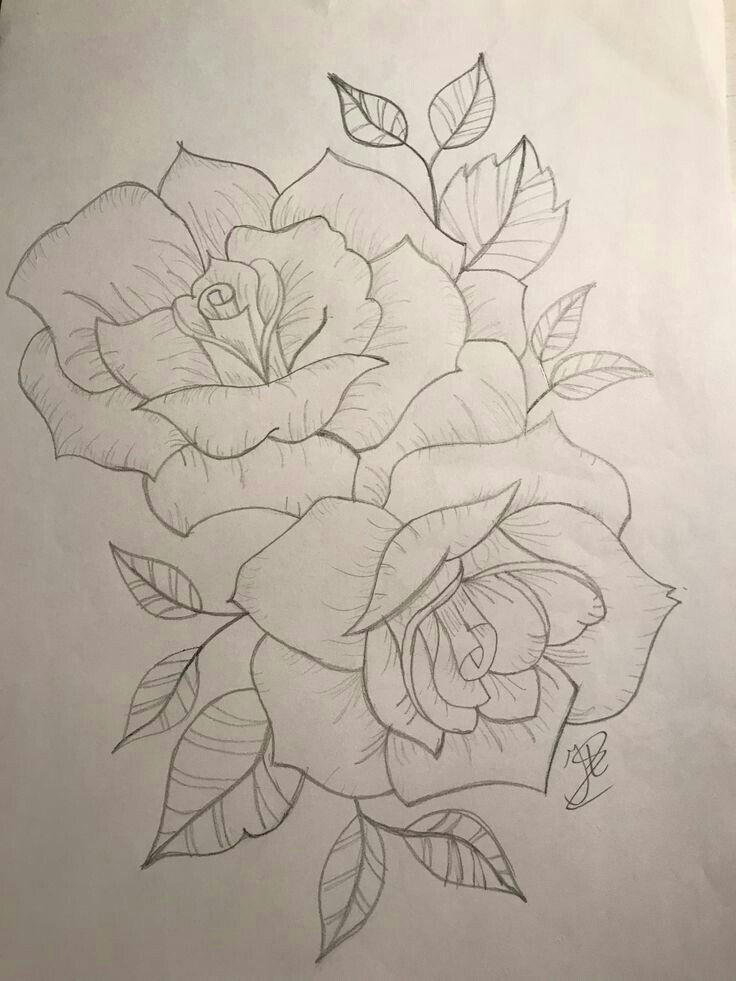 Роза цветок картинка для детей для раскраски и рисования (14)