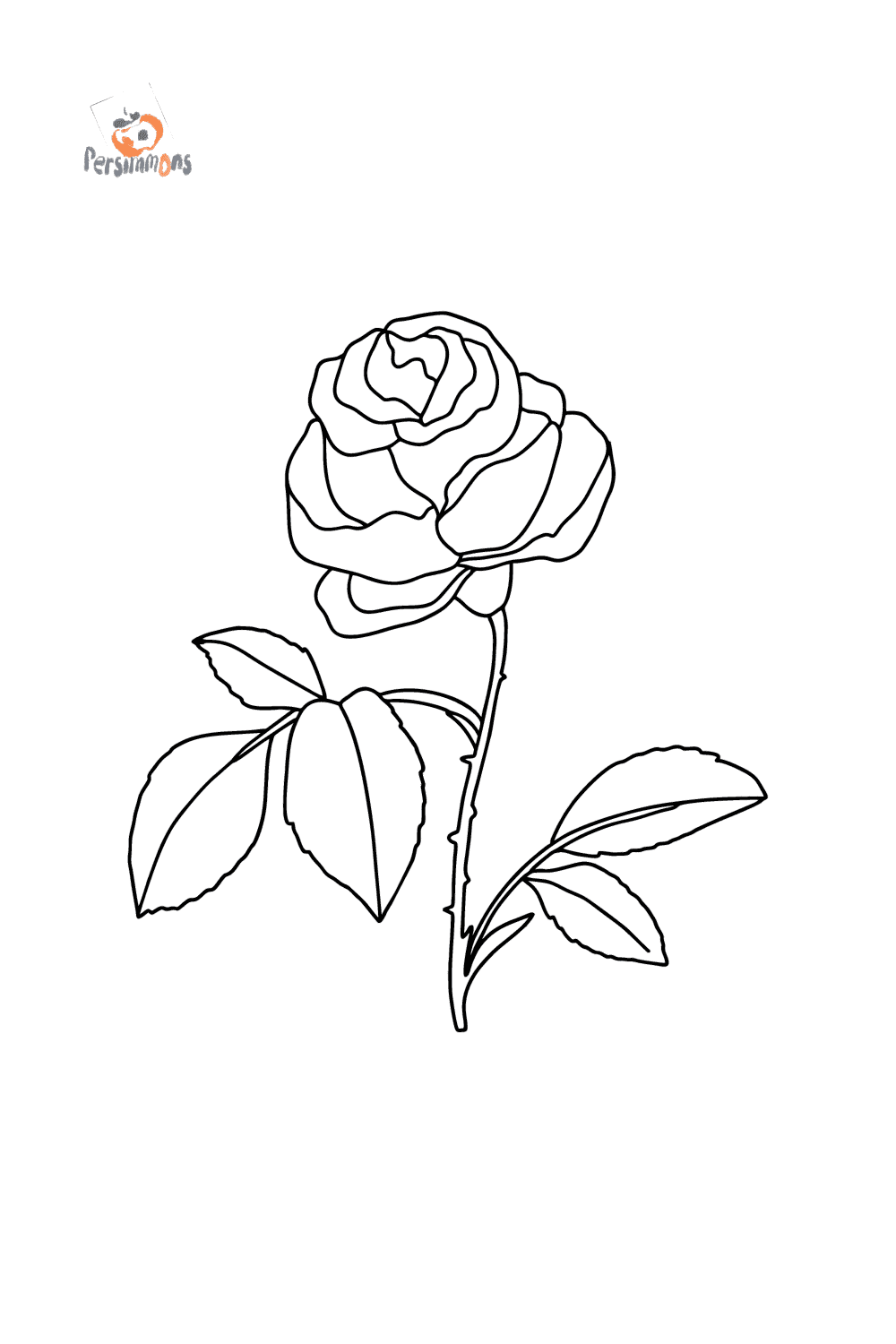 Роза цветок картинка для детей для раскраски и рисования (3)