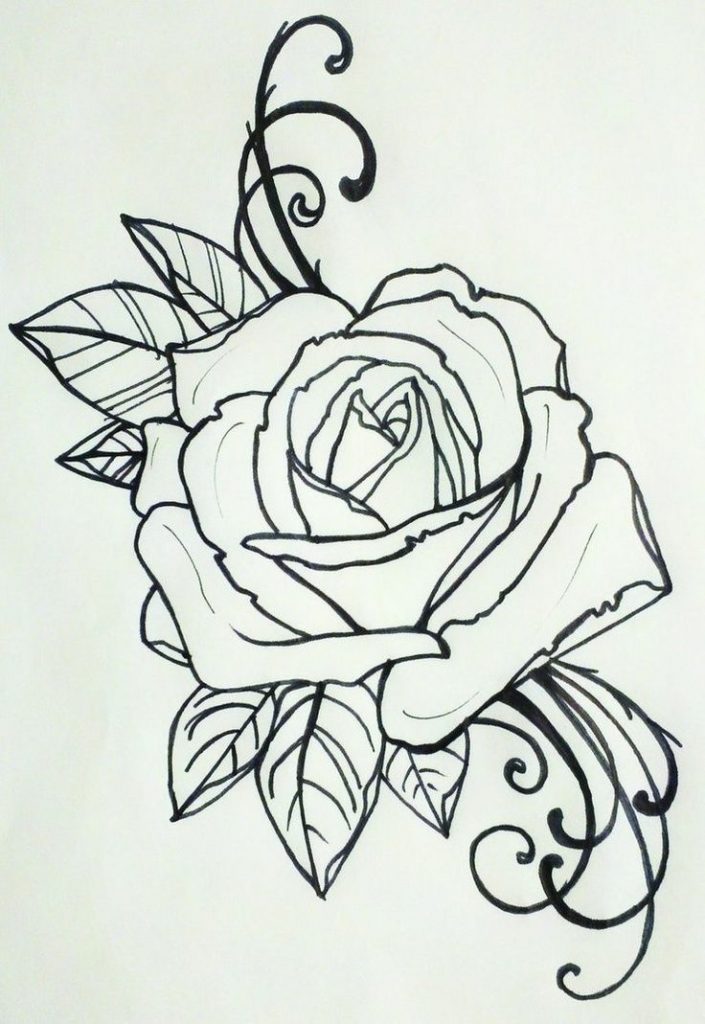 Роза цветок картинка для детей для раскраски и рисования (7)