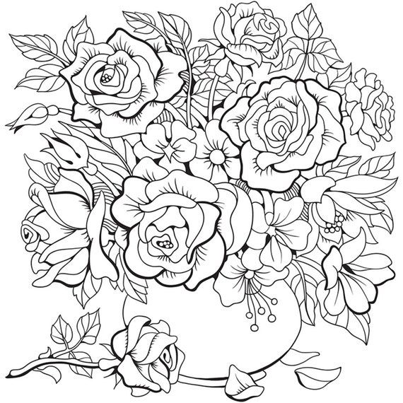 Роза цветок картинка для детей для раскраски и рисования (9)