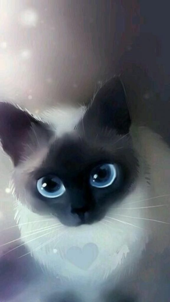 Кот в очках на заставку - самые красивые новые аватарки (27)