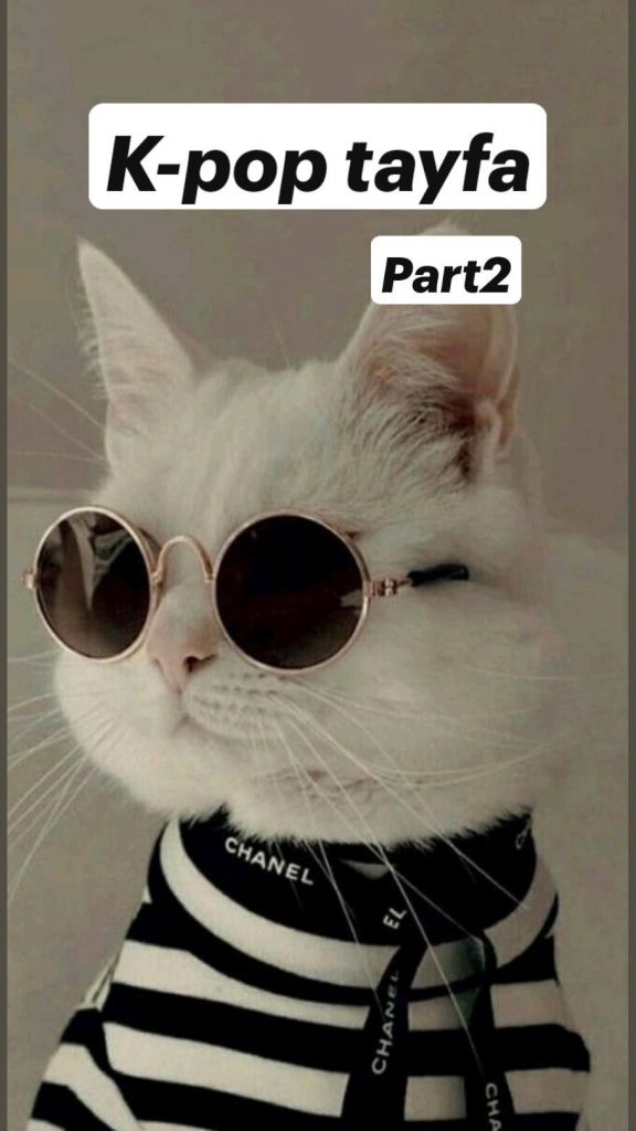Кот в очках на заставку - самые красивые новые аватарки (9)