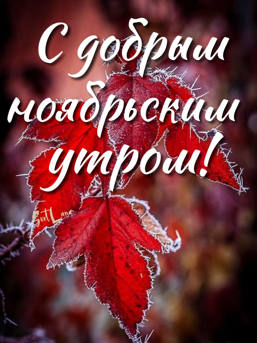 Встречаем ноябрь. Доброе осеннее утро 1 ноября. Доброе утро осени 4 ноября. Доброе утро осень ноябрь. С добрым осенним утром мужчине.