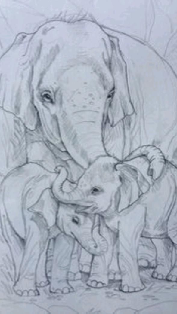 Картинки слона для детей нарисованные в хорошем качестве (13)