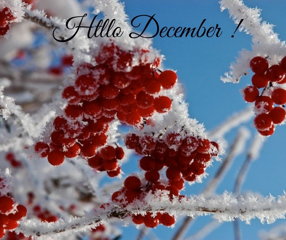 С первым днем зимы милые и красивые открытки (5)