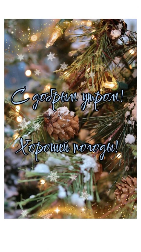 Добро пожаловать, декабрь - милые открытки и картинки (3)