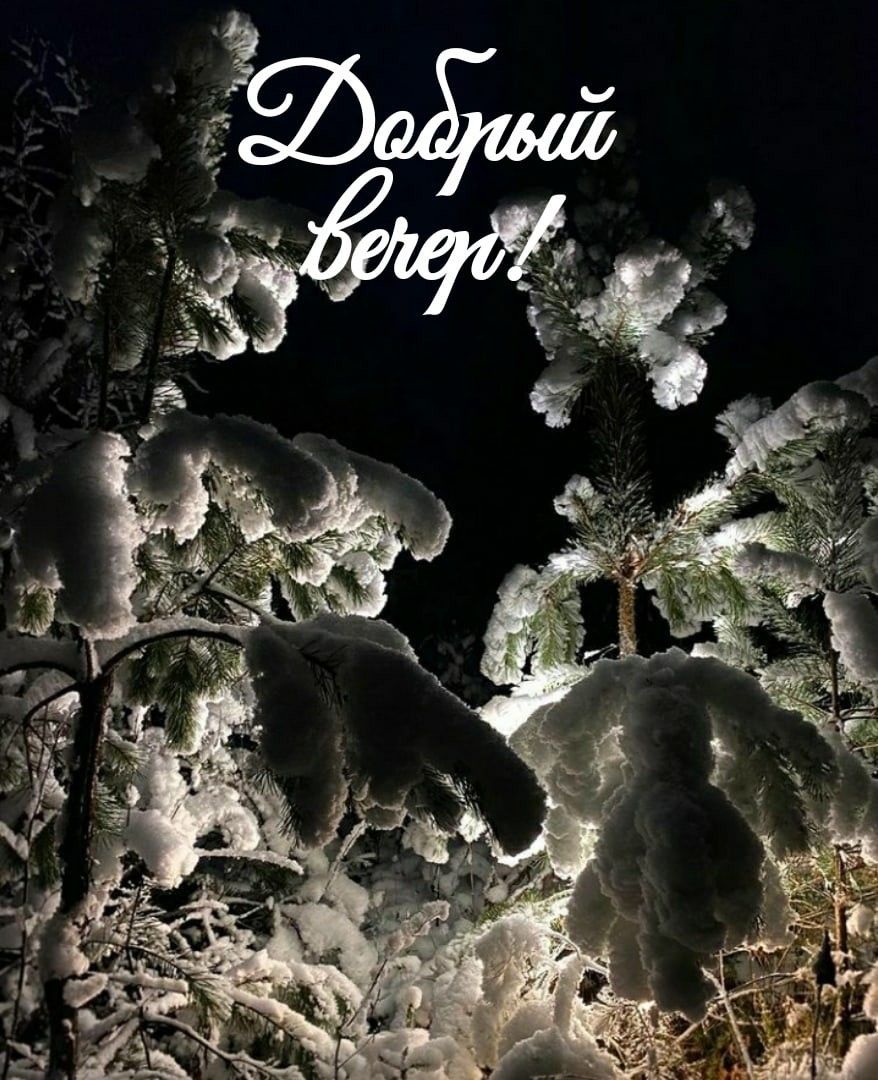 Добрый вечер зимы 2022 года, прекрасные открытки (10)
