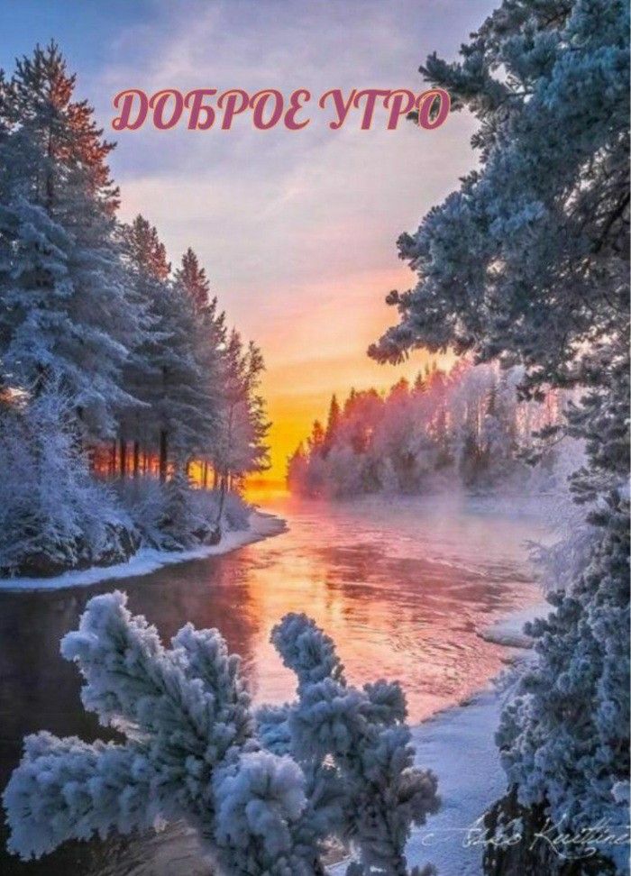Добрый вечер зимы 2022 года, прекрасные открытки (19)