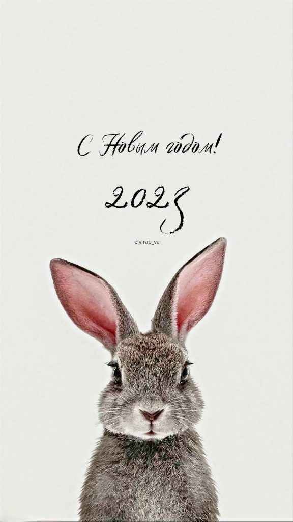 Красивые обои кролика на Новый год 2023 для телефона (26)