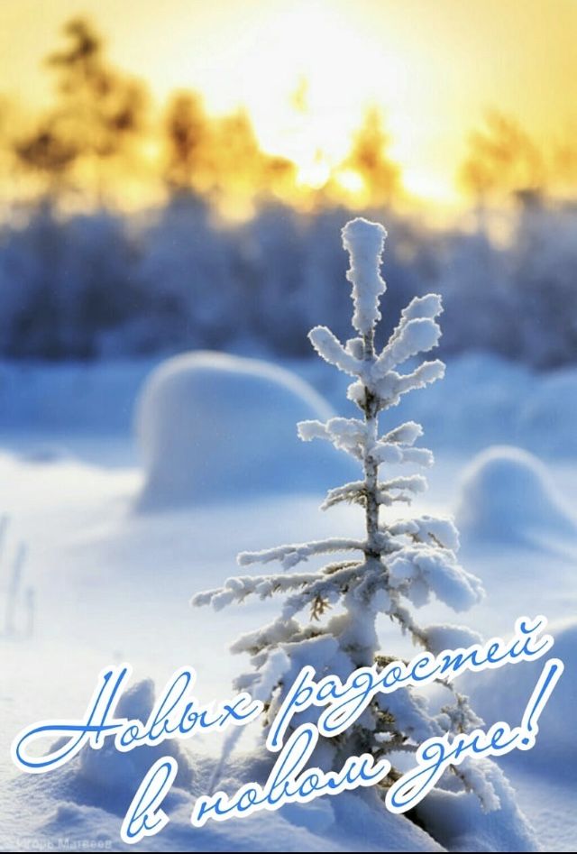 Чудесного вам дня зимы и декабря   открытки и картинки (24)