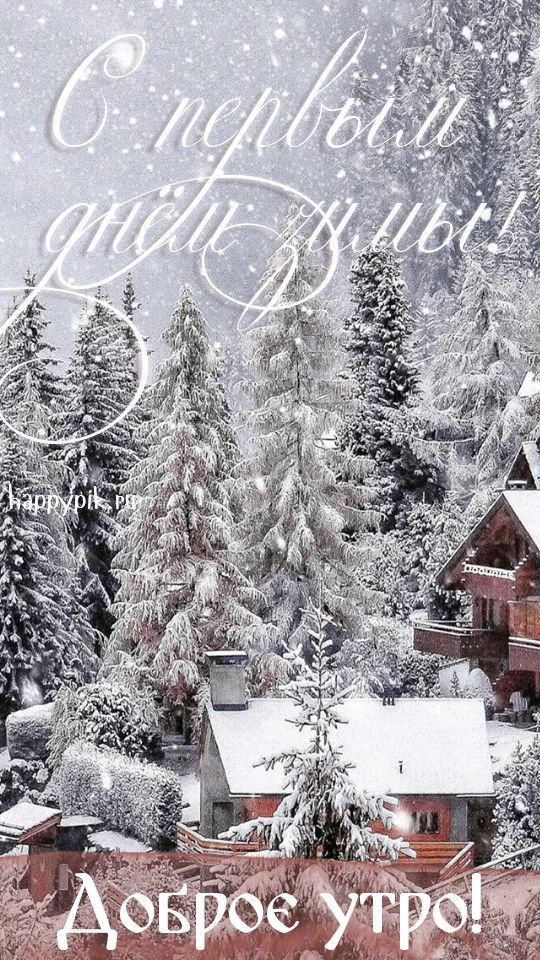 Чудесного вам дня зимы и декабря - открытки и картинки (6)