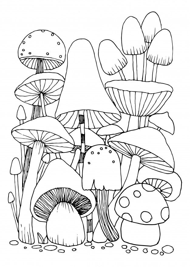 Красивые картинки грибочки для детей раскраски (15)