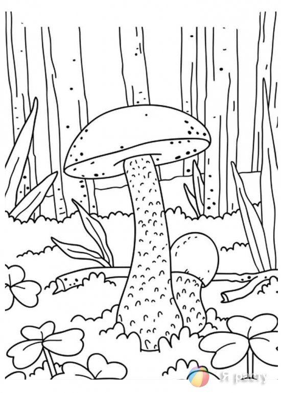 Красивые картинки грибочки для детей раскраски (20)