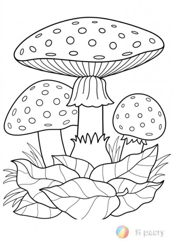 Красивые картинки грибочки для детей раскраски (24)