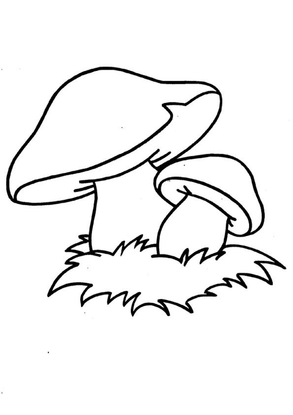 Красивые картинки грибочки для детей раскраски (5)
