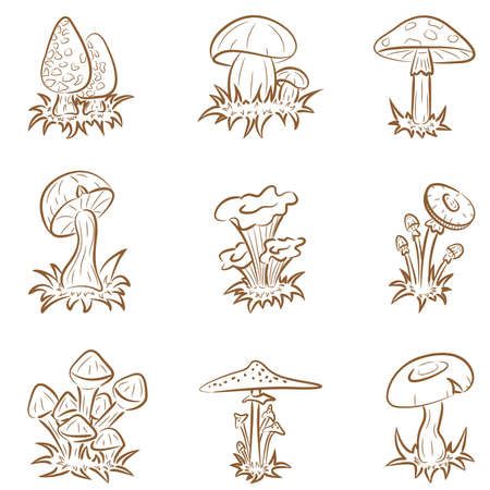 Красивые картинки грибочки для детей раскраски (6)