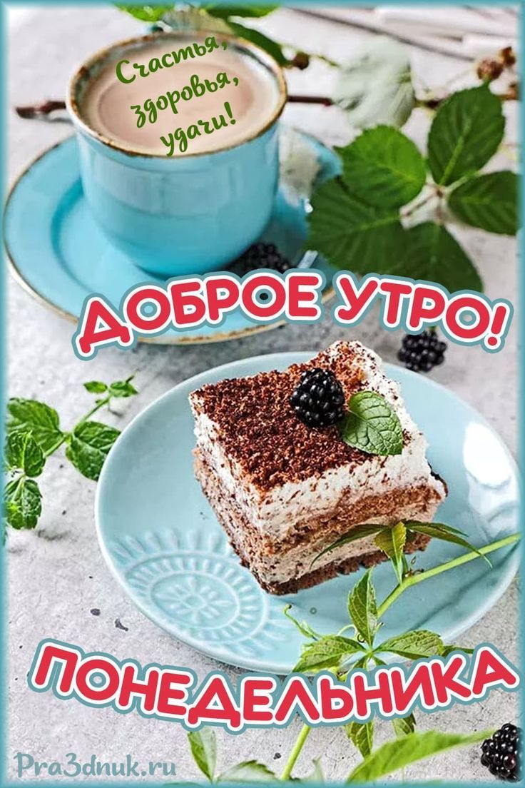 Не болеть с утра по понедельникам текст. Доброе понедельничное утро. С добрым утром понедельника. Открытки доброе утро понедельника. С добрым утречком понедельника.