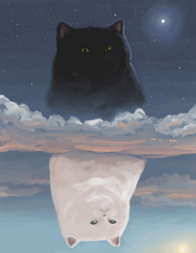 Белый кот и черная кошка картинки на аватарку (6)