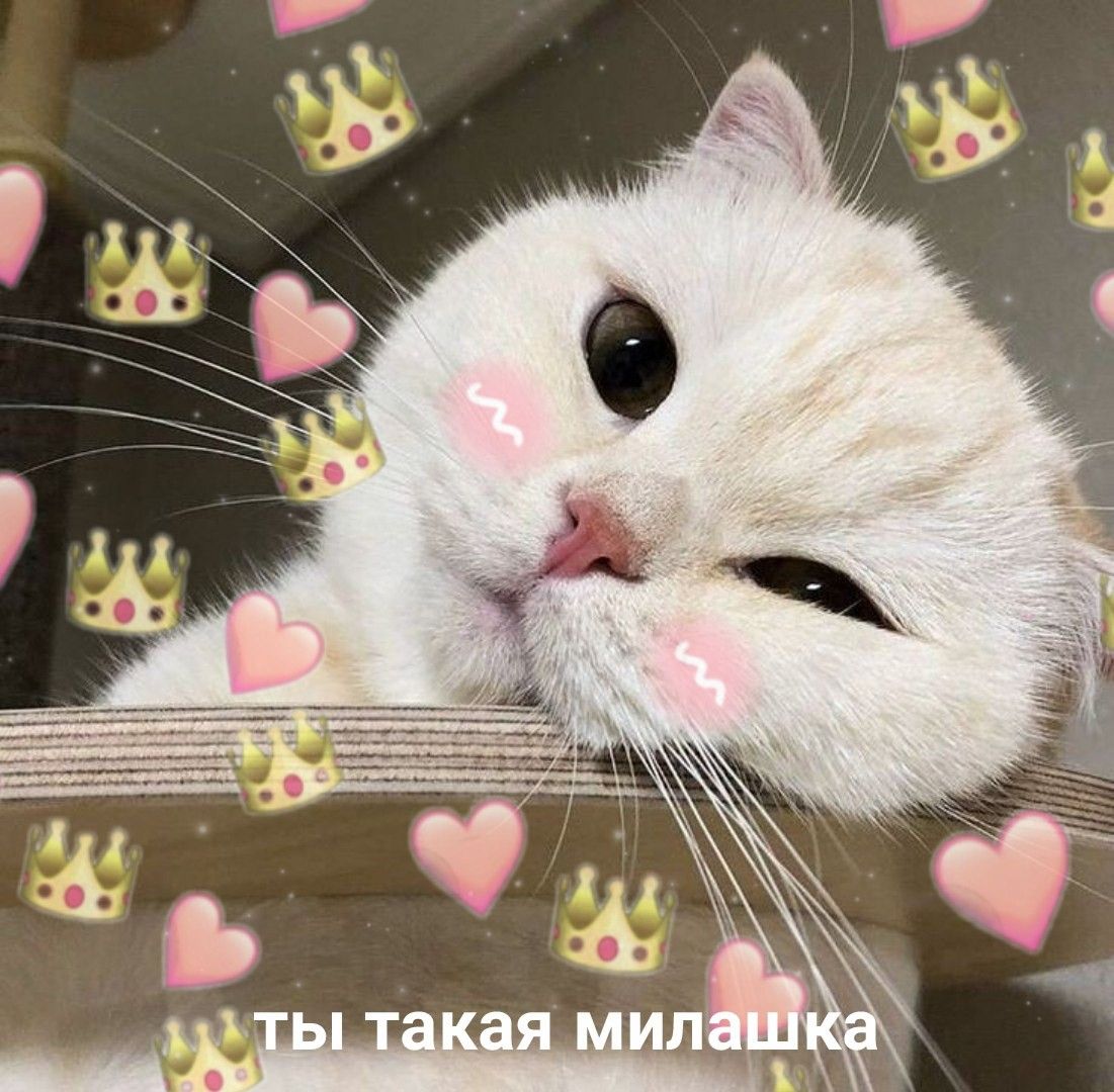 Котик с сердечками для любимых (10)
