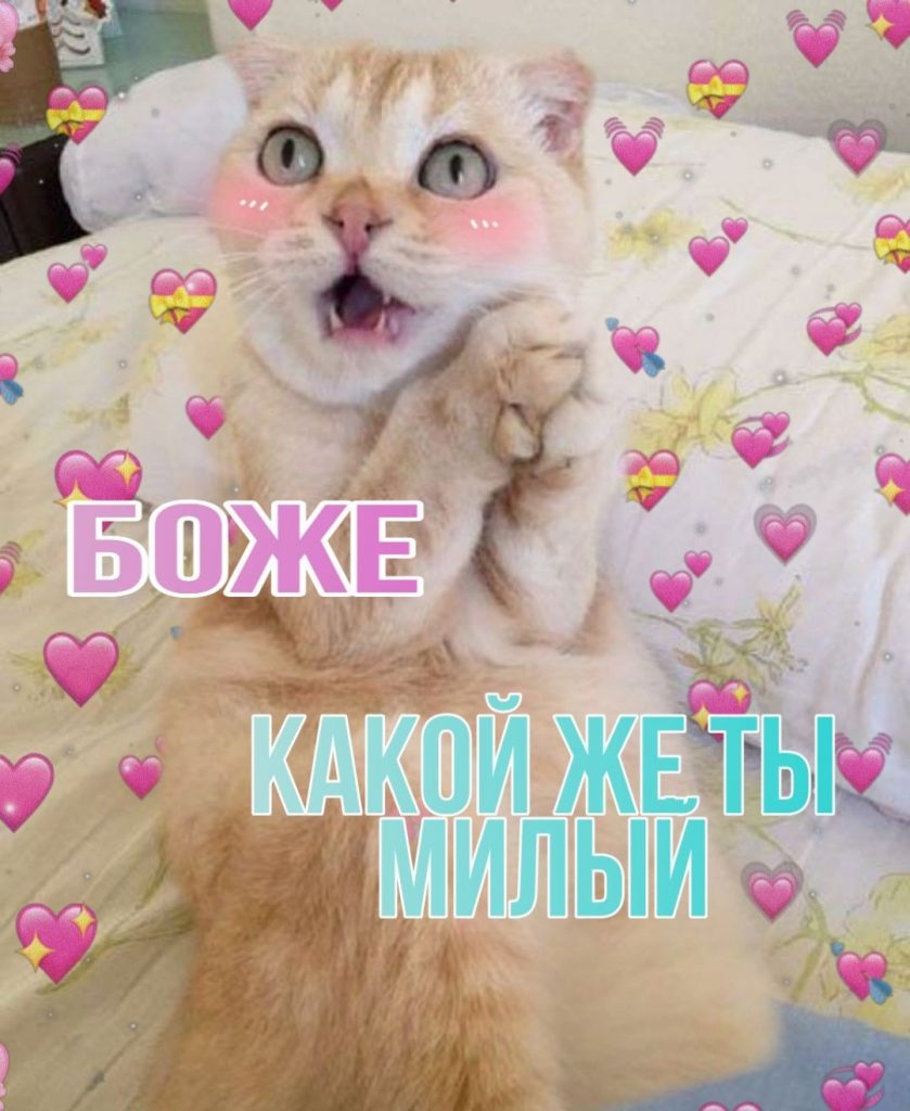 Котик с сердечками для любимых (13)