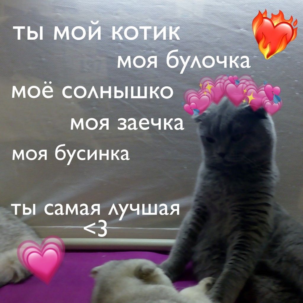 Котик с сердечками для любимых (19)