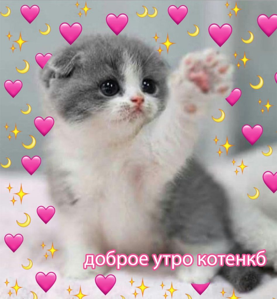 Котик с сердечками для любимых (22)