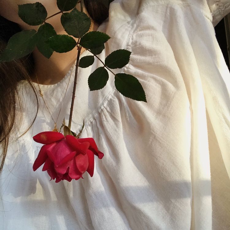 Красная роза в подарок для девушки в картинке (18)