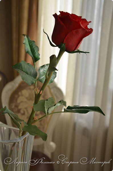 Красная роза в подарок для девушки в картинке (28)