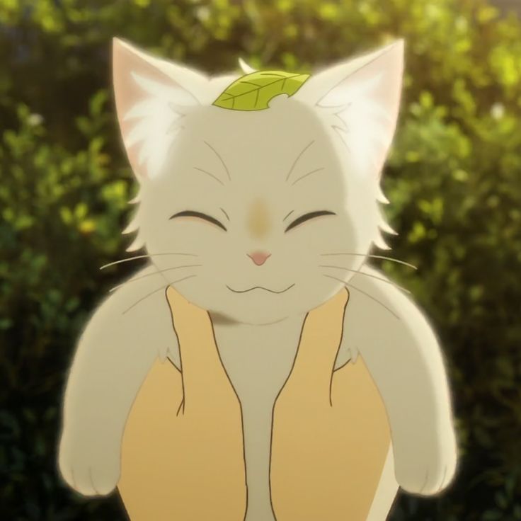 Милые арты аниме котики в хорошем качестве (3)