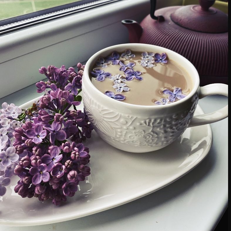 Чашка кофе и цветы на ветках - обои и фото (16)