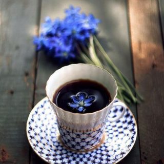Чашка кофе и цветы на ветках   обои и фото (24)