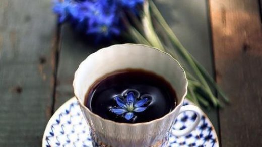 Чашка кофе и цветы на ветках   обои и фото (24)