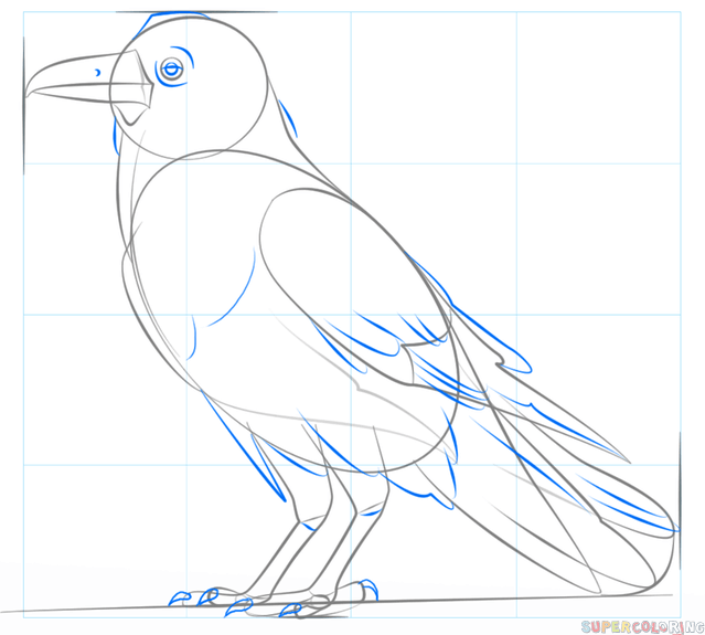 Нарисовать ворону карандашом