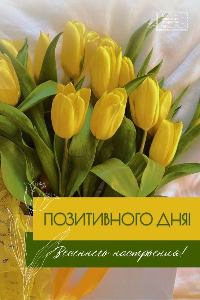 Доброе утро весны, желаю отличного дня - открытки (8)