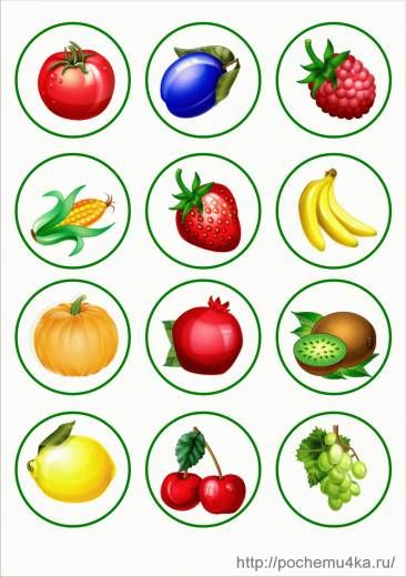 Изображение фруктов и овощей картинки для детей (18)