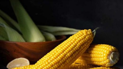 Какая калорийность в вареной кукурузе, её польза 2