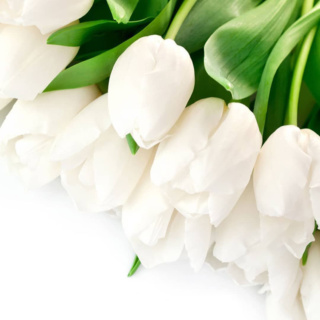 Красивые и нежные тюльпаны в открытках на 8 марта (15)