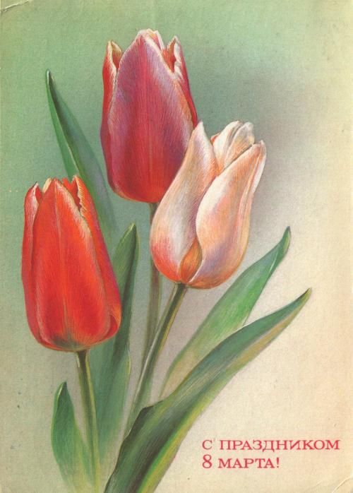 Красивые и нежные тюльпаны в открытках на 8 марта (16)