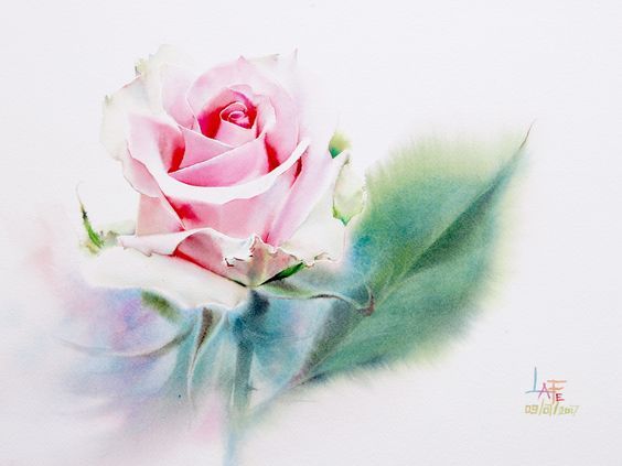 Милые картинки для срисовки карандашом розы (18)