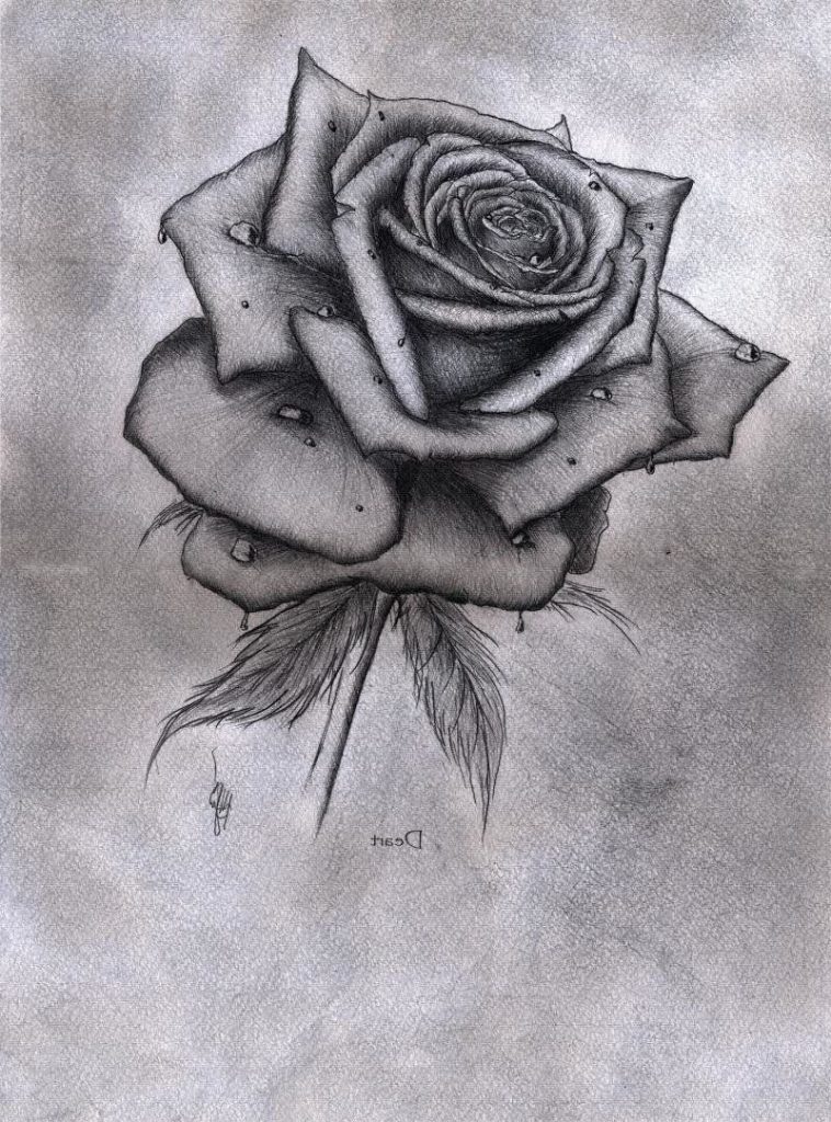 Милые картинки для срисовки карандашом розы (19)