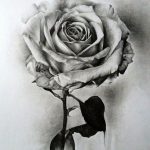 Милые картинки для срисовки карандашом розы