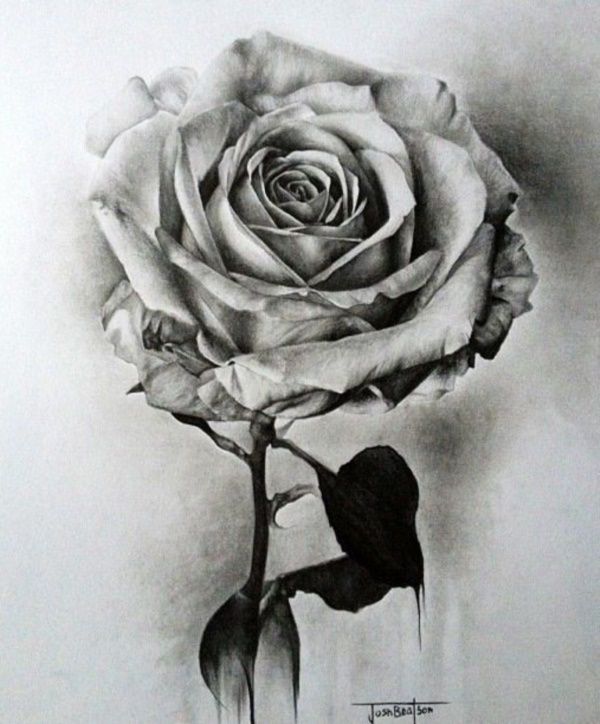 Милые картинки для срисовки карандашом розы (2)