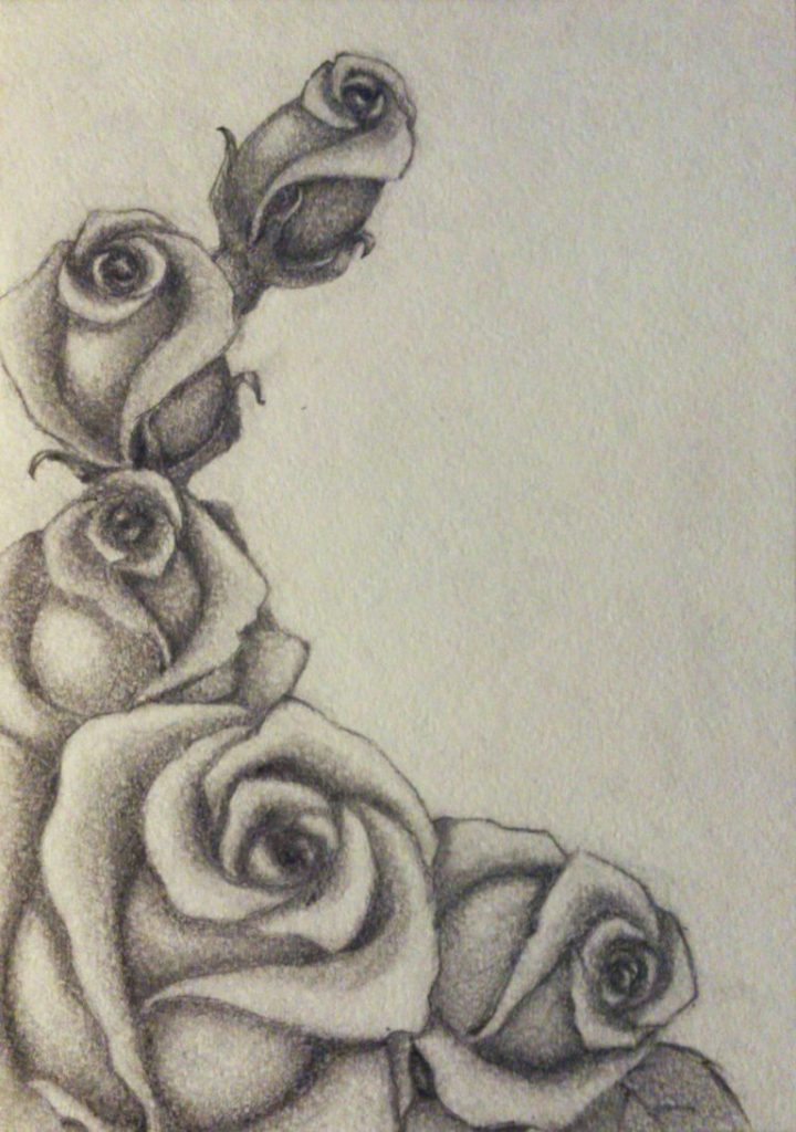 Милые картинки для срисовки карандашом розы (24)
