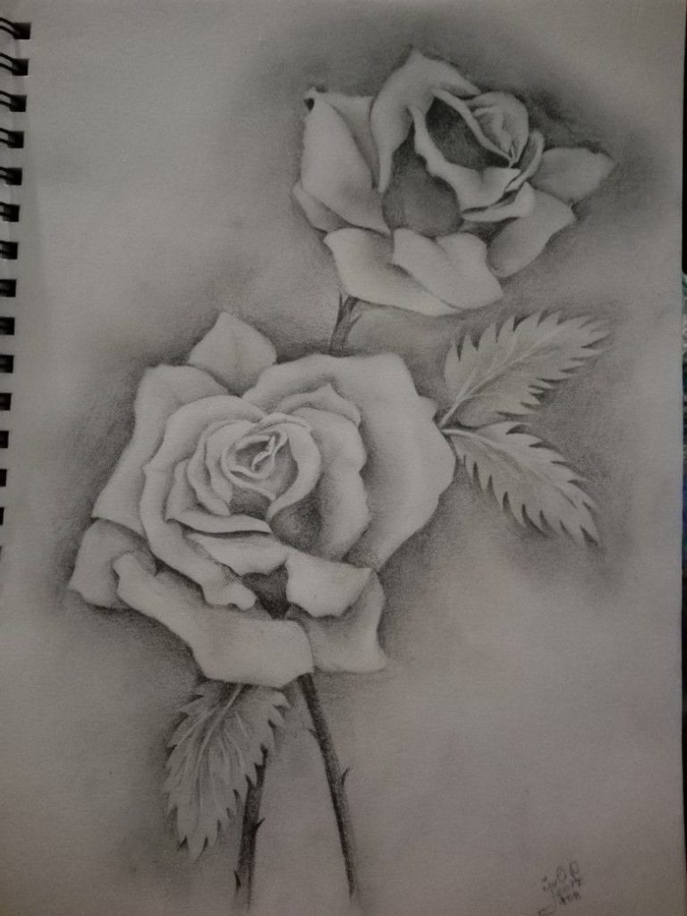 Милые картинки для срисовки карандашом розы (25)
