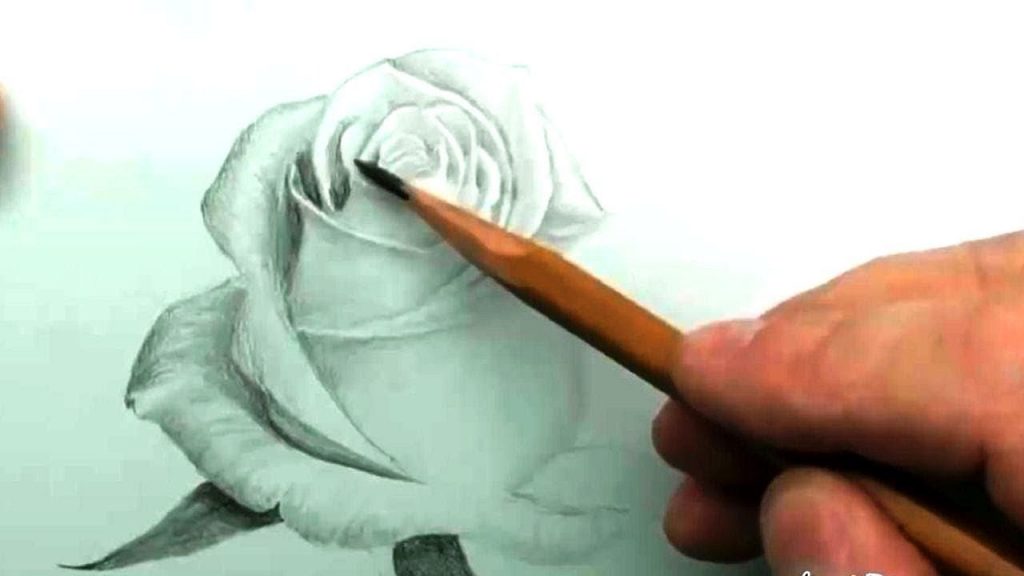 Милые картинки для срисовки карандашом розы (7)